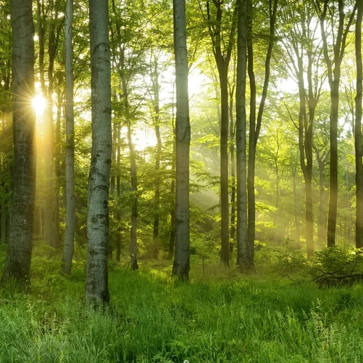 ekaya-spaces